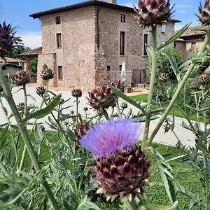 Corte Davini Alloggio per agriturismo Monzambano